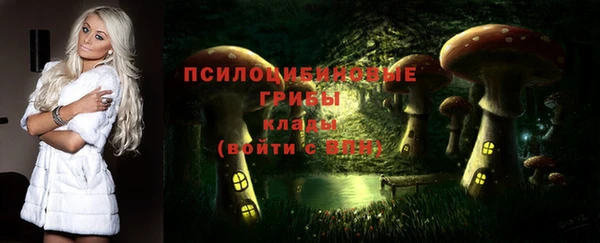 спиды Белоозёрский