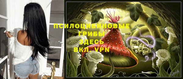 спиды Беломорск