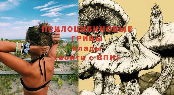 спиды Белоозёрский