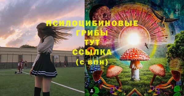 гашиш Белокуриха